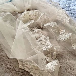 Beaded and embroidered vail